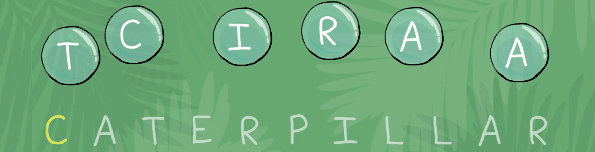 Spelling challenges